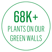 68k plants on our green walls