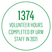 Staff Volunteering Infographic