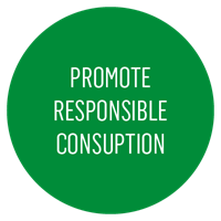 Promote responsible consumption